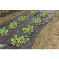 Weed control mesh Nature