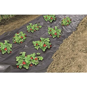 Weed control mesh Nature