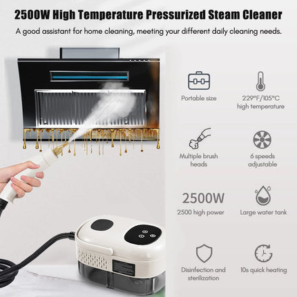 2500W High-Pressure Steam Cleaner