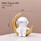 As shown / ZIBO-Figure-001