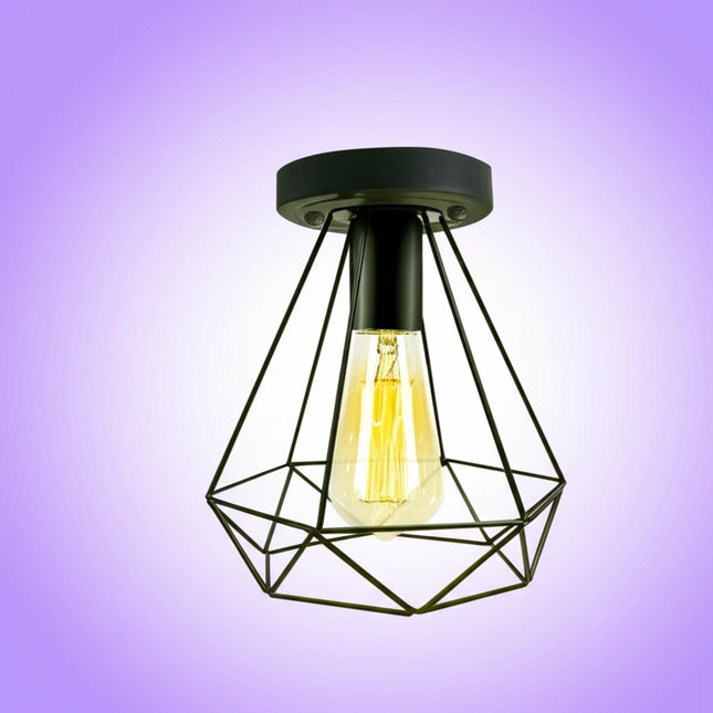 Industrial Black Wire Light Shade ceiling flush Lighting~1002