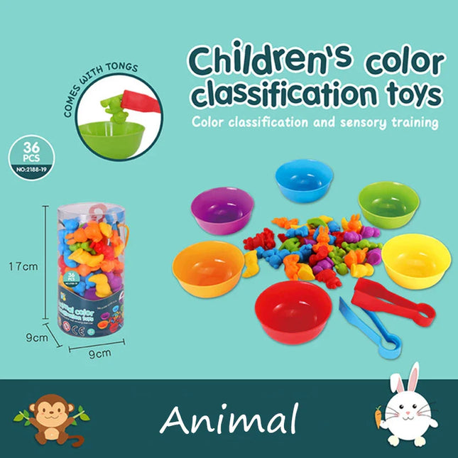 Colorful Rainbow Counting Bears
