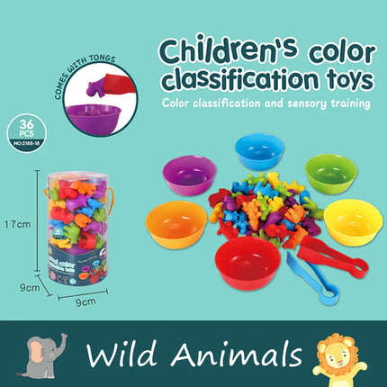 Colorful Rainbow Counting Bears
