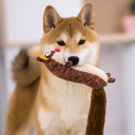 Plush Sound Pet Toy