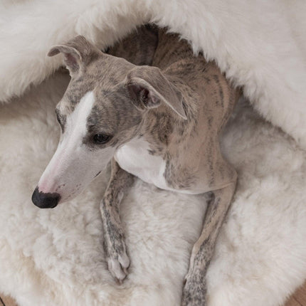 Natural Sheepskin Pet Cave - White