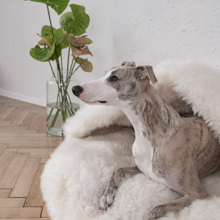 Natural Sheepskin Pet Cave - White