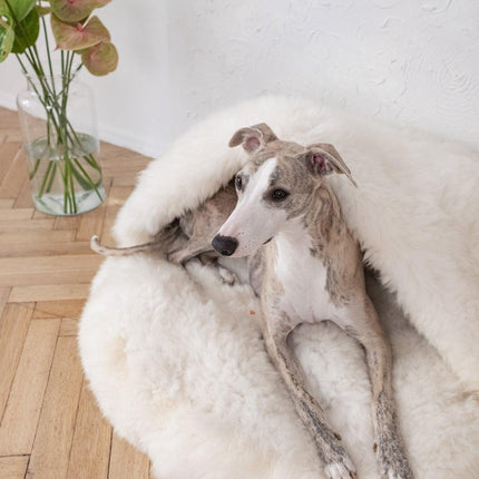 Natural Sheepskin Pet Cave - White