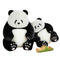 Dolls & Plush Toys