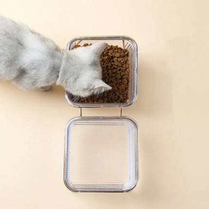 Raised Double Pet Bowl