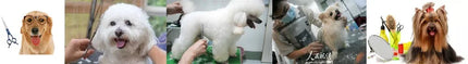 Pet Grooming Scissors