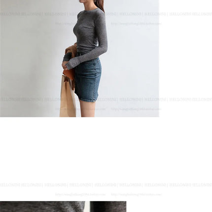 Women's Sheer Long Sleeve T-Shirt