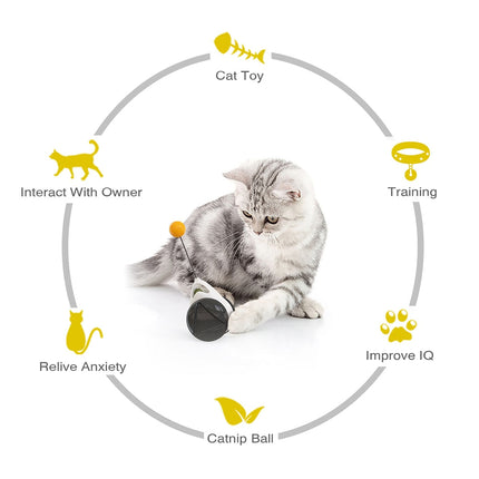 NNEOBA Pet Tumbler Swing Toys