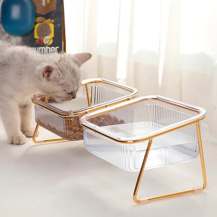 Raised Double Pet Bowl