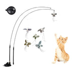 Hard Suction Tease / 1pcs Random Birds