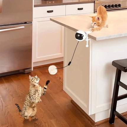 Interactive Electric Cat Toy