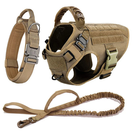 Large Dog Harness And Leash Set For Training