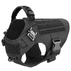 Black Harness / S / United States