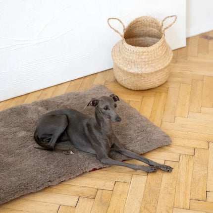 Square or Rectangular Natural Woolen Pet Mat - Beige