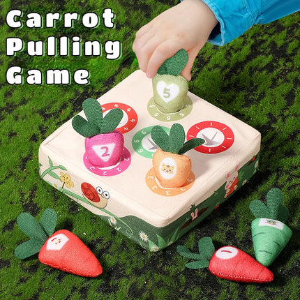 Montessori Baby Toy