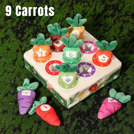 Montessori Baby Toy