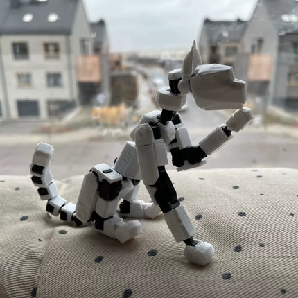 Multi-Joint Lucky Action Figure