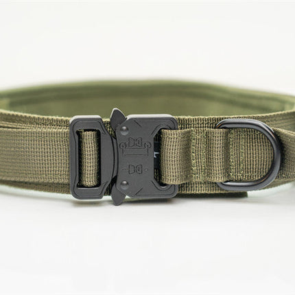 Nylon Pet Collars