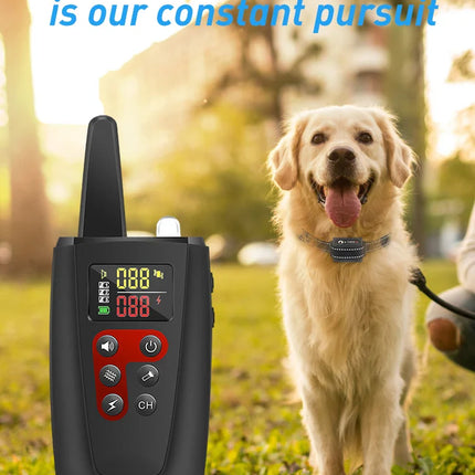 Pet training collar