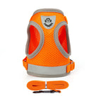 Orange / S