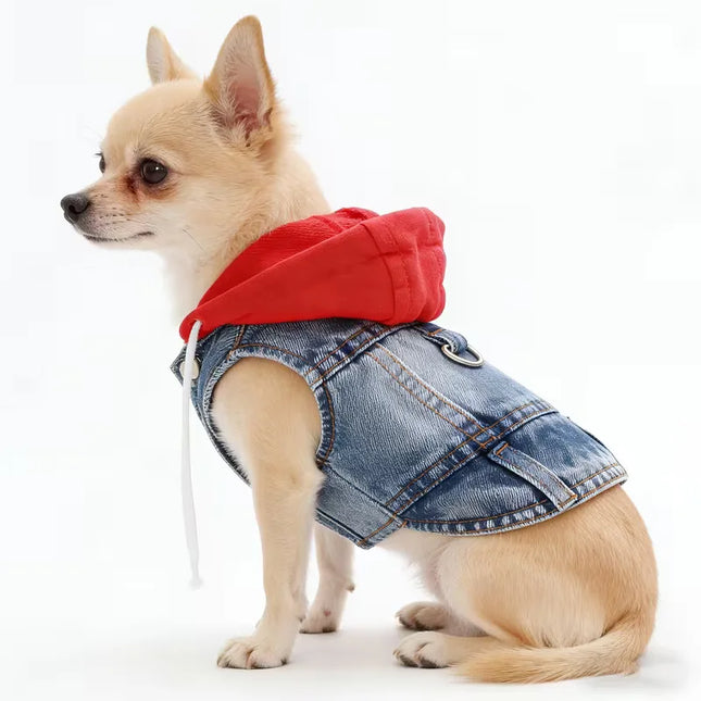 Denim Puppy Hoodie Jacket