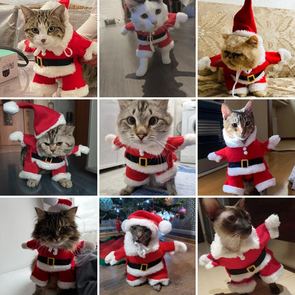 Santa Pet Costume
