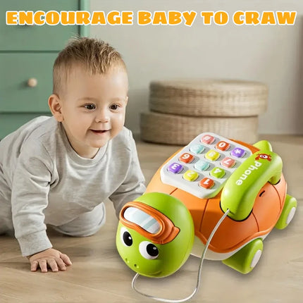 Musical Crawling Turtle Toy