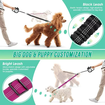 Dual Dog Leash Attachment
