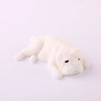 XP-White
