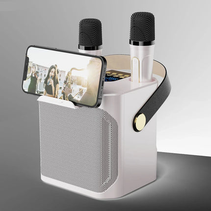 Portable Karaoke Bluetooth Speaker