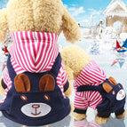 Blue Bear / XS（old）