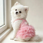 XS / Pink