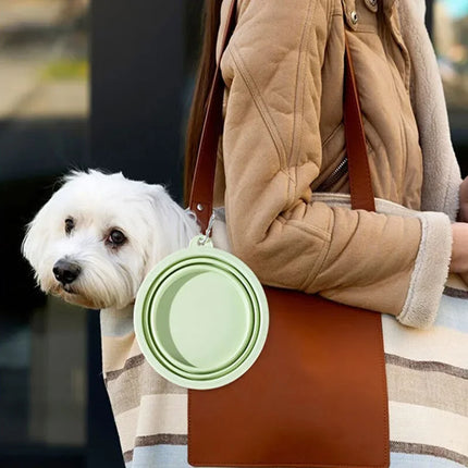 Collapsible Silicone Pet Bowl