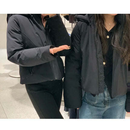 Women's Hooded Padded Jacket