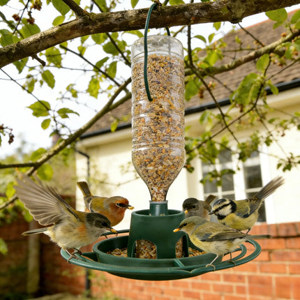 Hanging Bird Feeder