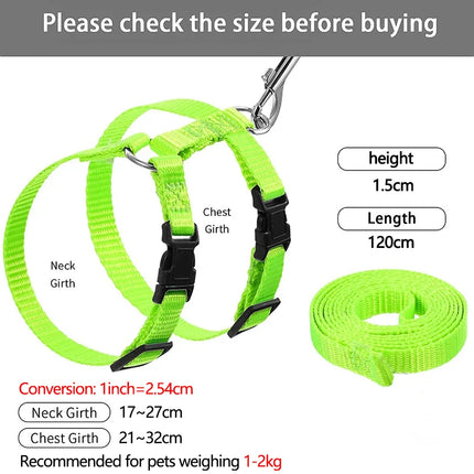 Small Pet Harness Set