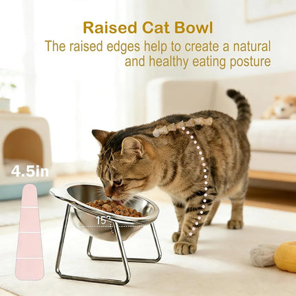 Tilted Stainless Steel Cat Bowl