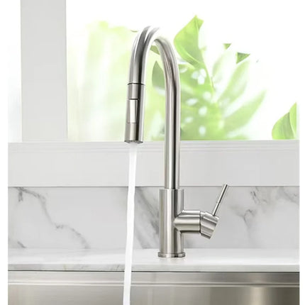 Flexible Pull-Out Kitchen Faucet