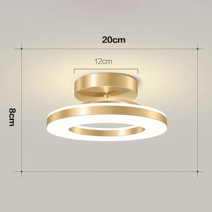 Modern LED Ceiling Lamp