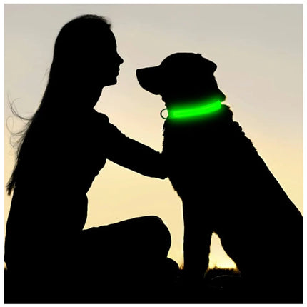 LED Pet Collar