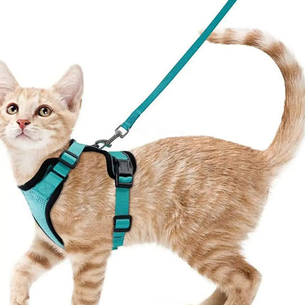 Soft Cat Harness Set
