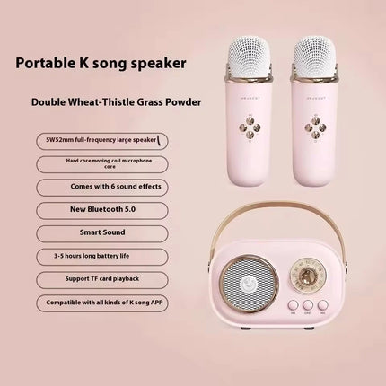 Portable Karaoke Bluetooth Speaker
