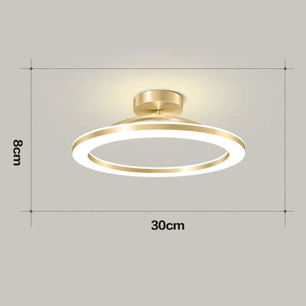 Modern LED Ceiling Lamp