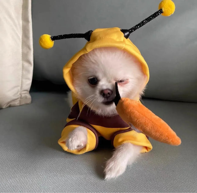 Bee Pet Hoodie