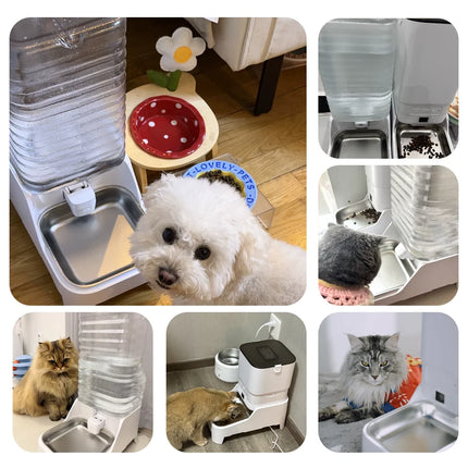 Smart Pet Feeder