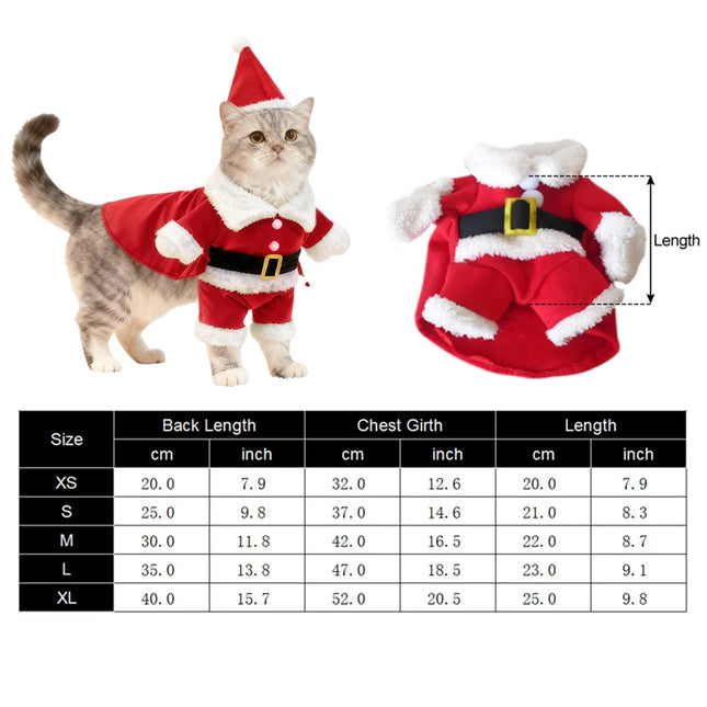 Santa Pet Costume
